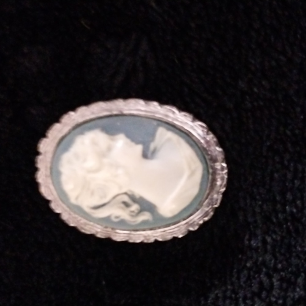 Ladies brooch
